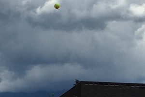 IMG_6910.jpg